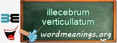 WordMeaning blackboard for illecebrum verticullatum